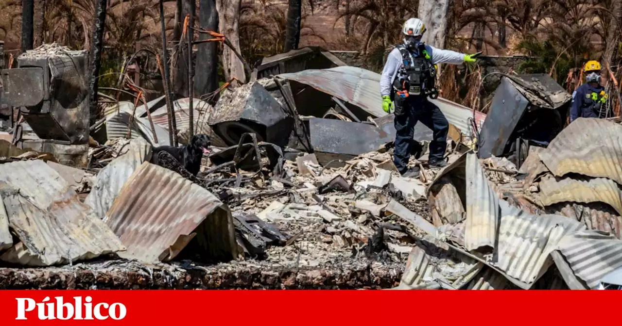 Incêndio em Maui: frustração, silêncio e “gerações de história nativa do Havai” em ruínas