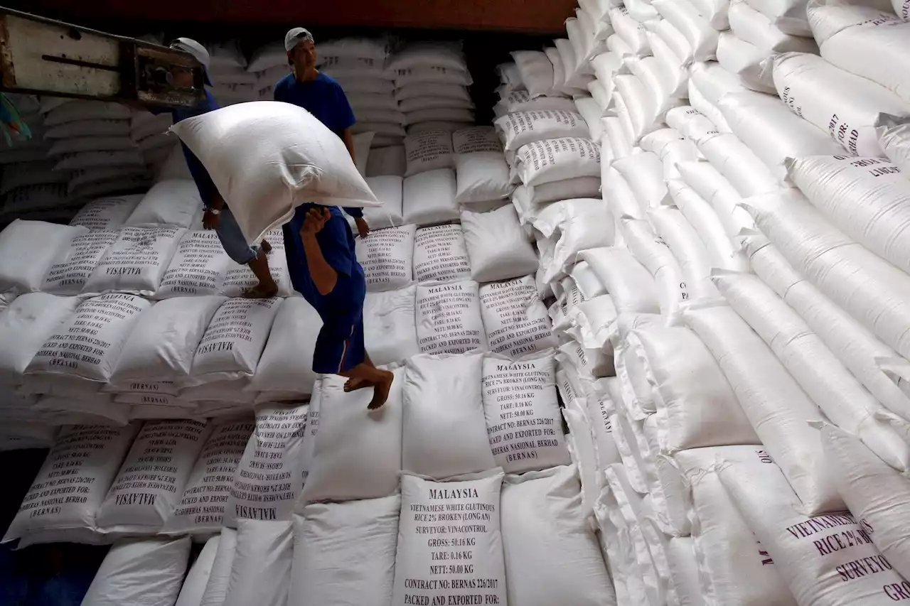 Vietnamese exporters renegotiate higher rice prices after Indian ban