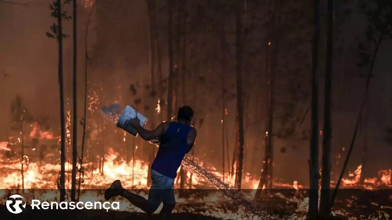 Incêndio em Monchique mobilizou quase 200 bombeiros mas está em resolução