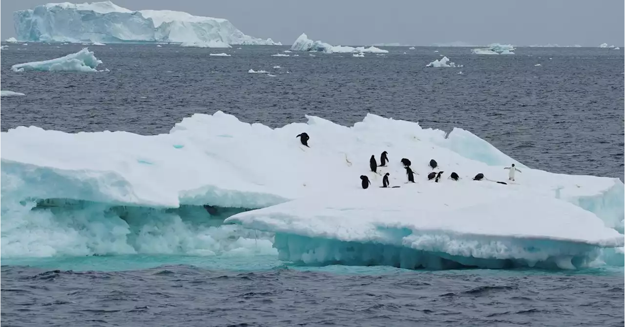 No quick fix to reverse Antarctic sea ice loss as warming intensifies