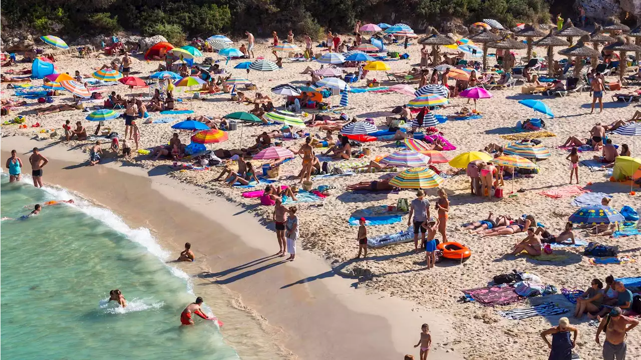 Plötzlich Badeverbot an Mallorca-Stränden? Dahinter steckt ein fieser Plan