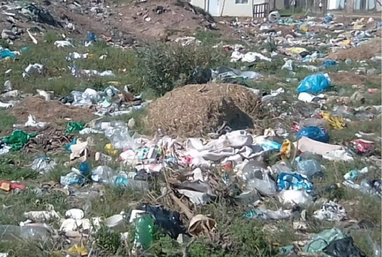 Tshwane residents worried about health crisis over refuse not being collected due to strike