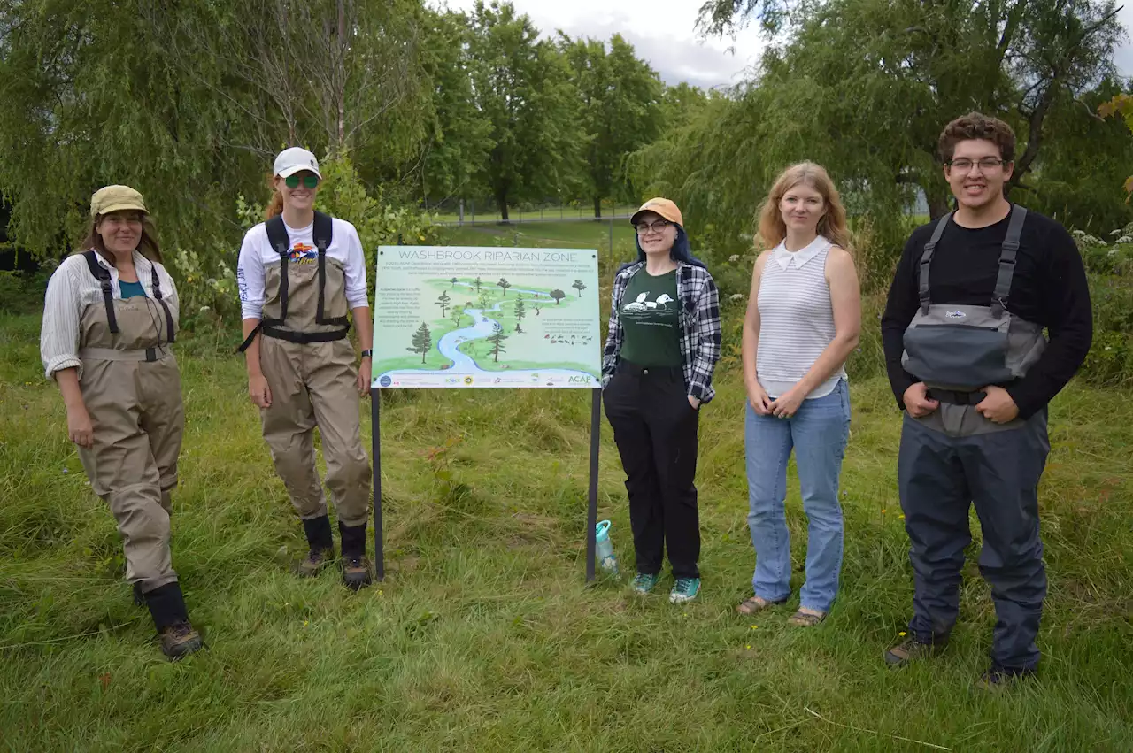 Cape Breton environmental group discovers vintage Wash Brook song still relevant