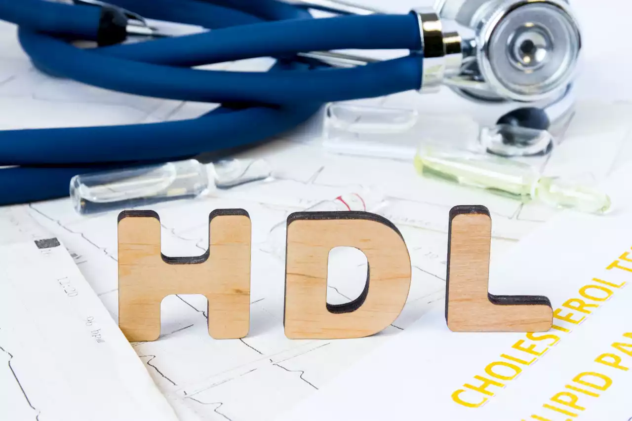 Cholestérol HDL : tout savoir sur le bon cholestérol