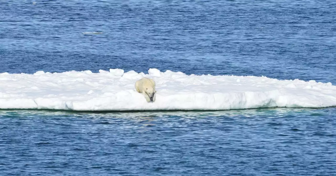 Commentary: On climate change, yes, there is hope