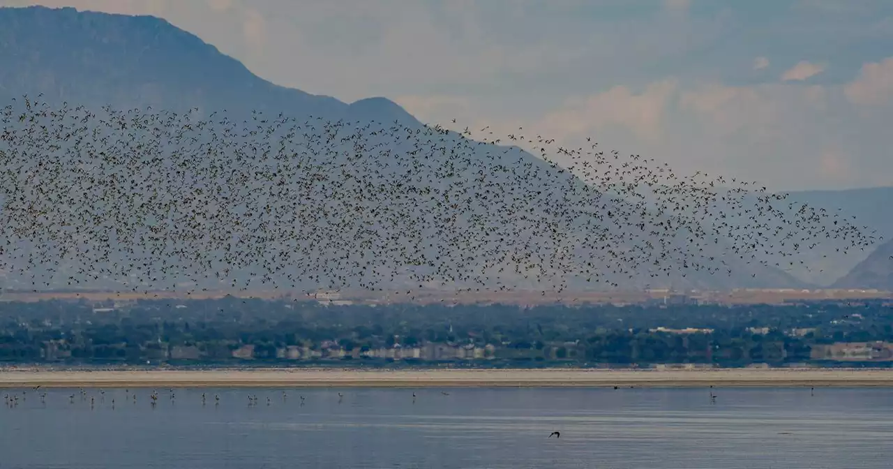 Great Salt Lake and Lake Powell: What’s the state of Utah’s water?