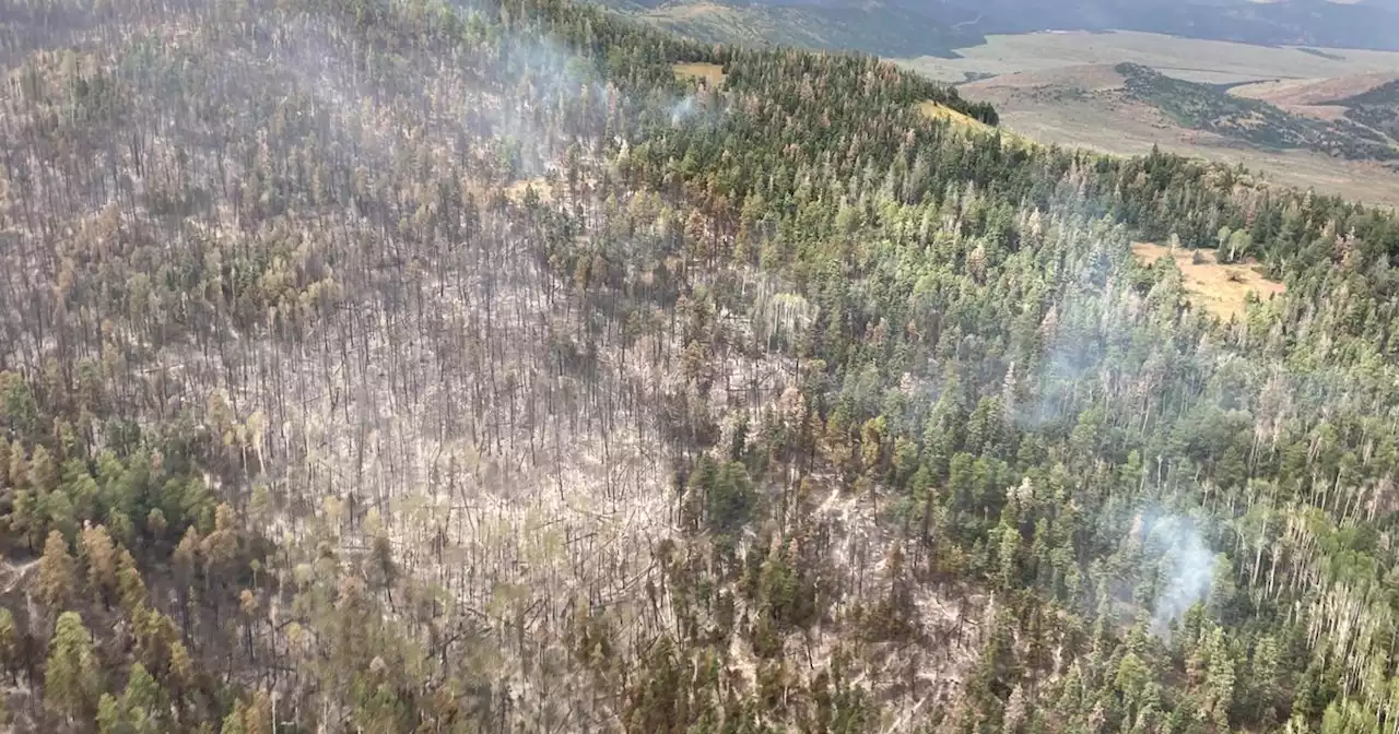 Utah’s largest 2023 wildfire yet still burning in Fishlake National Forest