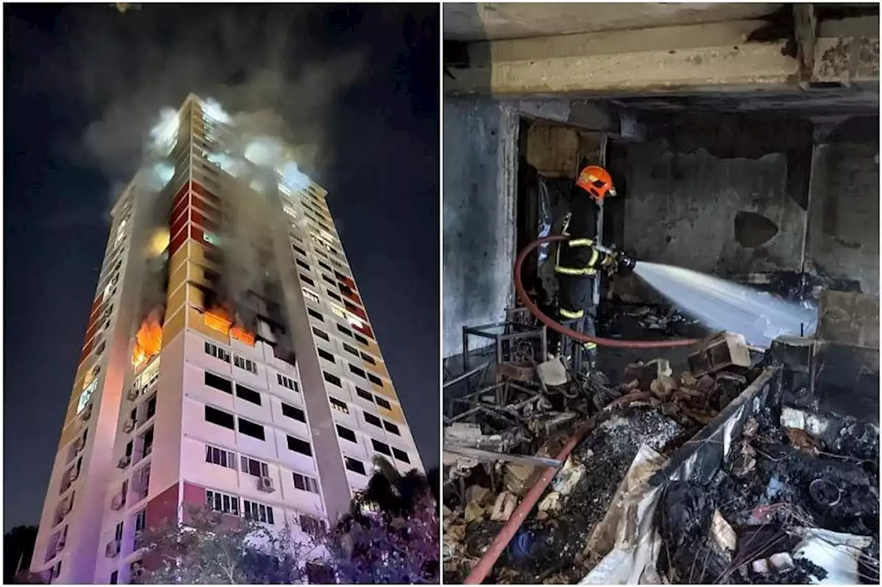 Maid died of smoke inhalation after senior citizen with bipolar disorder started fire