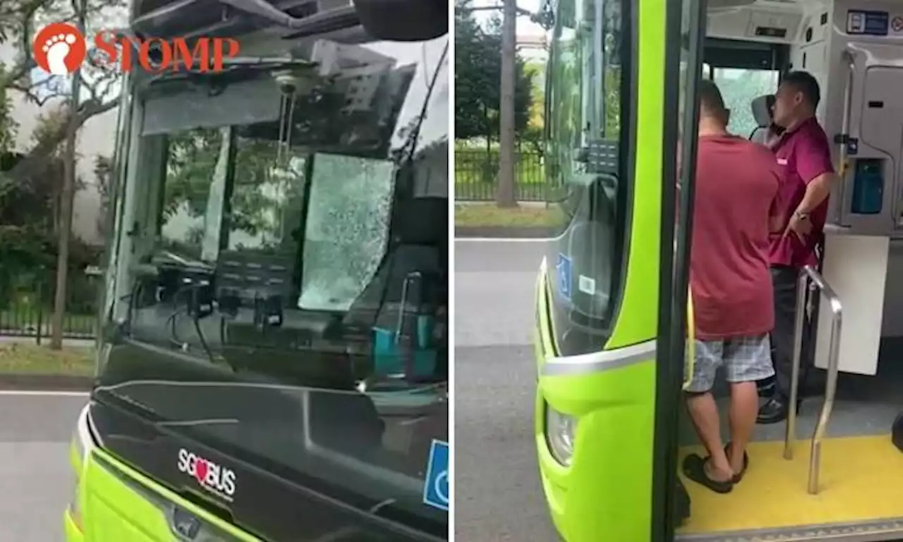 SMRT bus captain's windows, mirror shatter in accident with private bus outside Chinese Garden