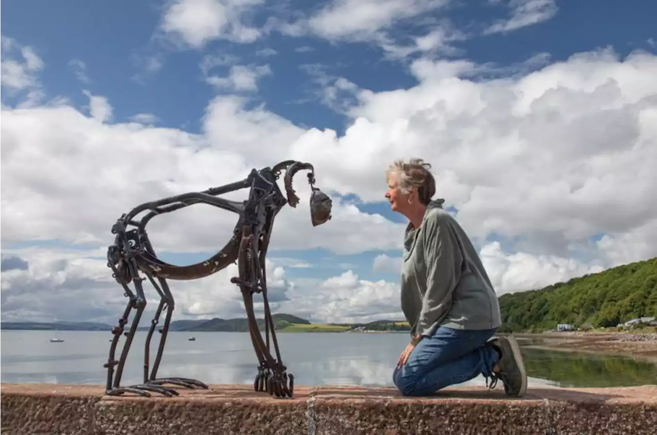 Scottish sculptor’s new exhibition brings animals to life using only scrap metal