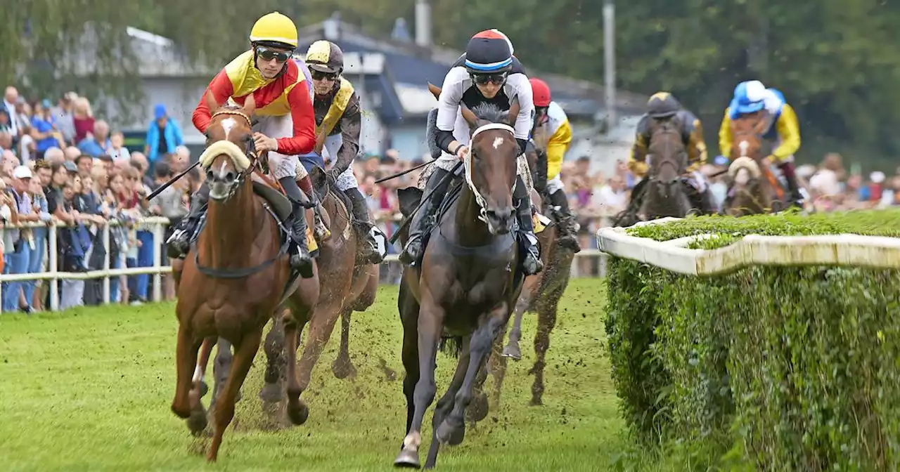 Reiten: Platzangst und eine coole Socke mit Riesenherz