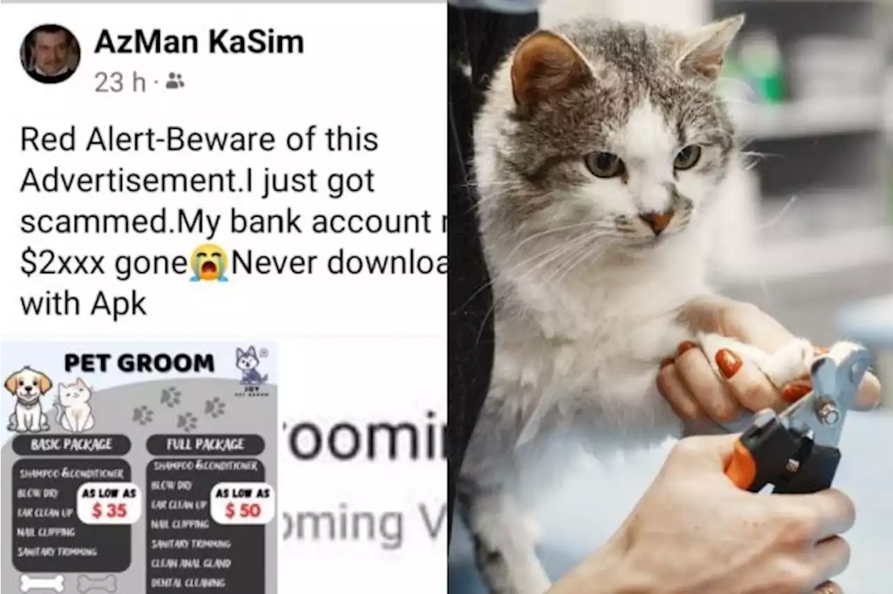 Man scammed out of $2,600 after downloading app for pet grooming service