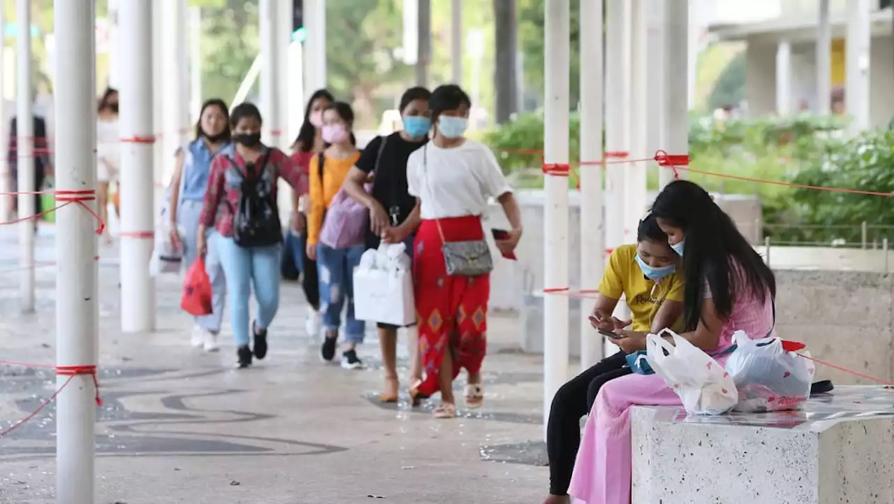 Over 80% of theft and criminal wrongdoing claims against maids do not result in charges: Report