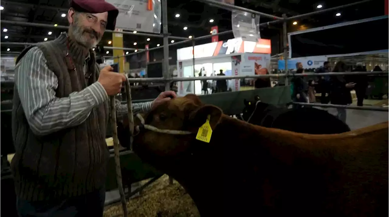 Con animales comprados por internet, crearon una cabaña ganadera en la pandemia y ahora fueron premiados