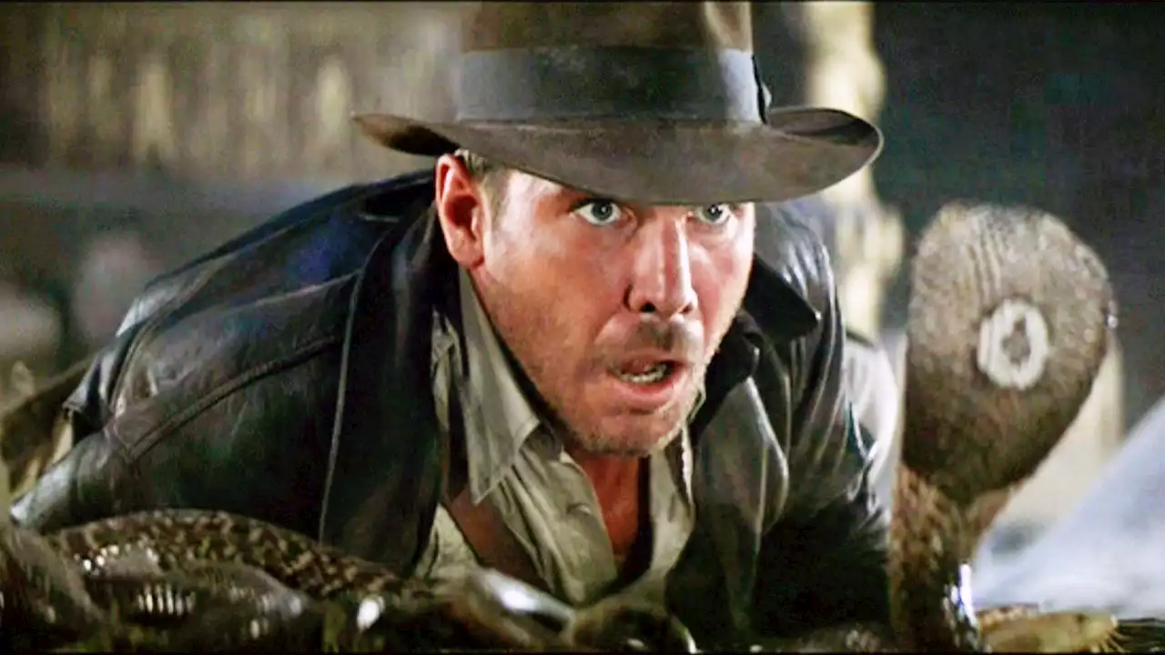 Harrison Ford a officiellement donné son nom à une espèce de serpents : le Tachymenoides harrisonfordi