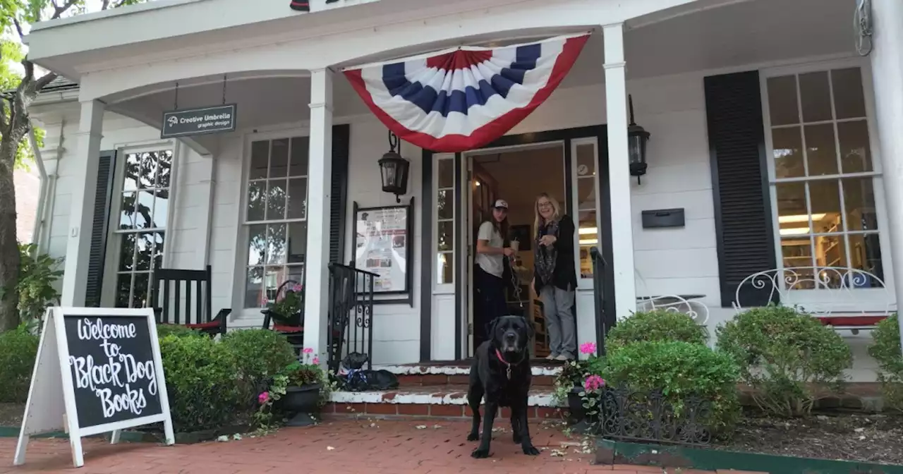 Literature and a black lab: Exploring delightful Black Dog Books in Zionsville