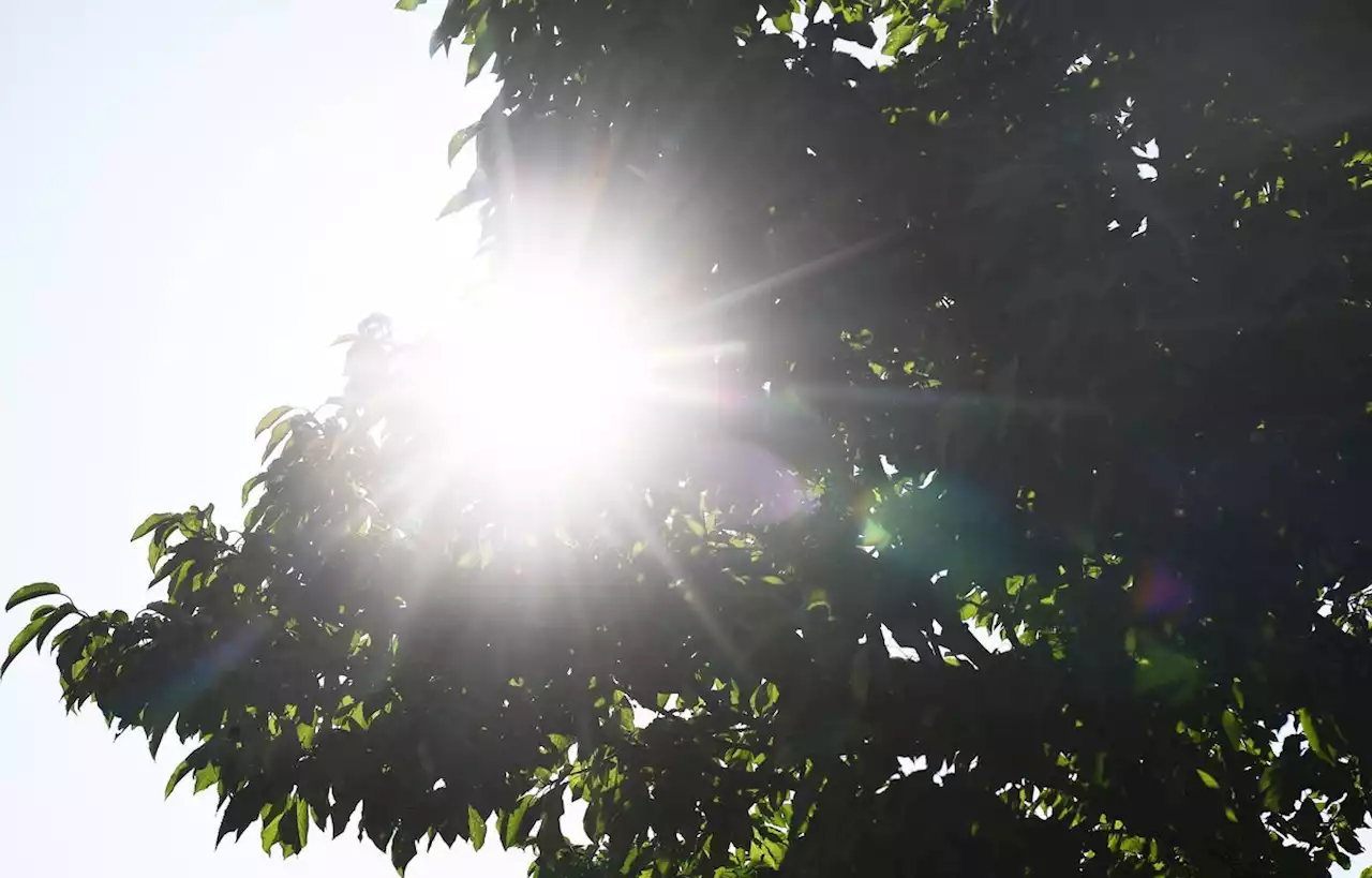 Face à la canicule, prévoyez-vous de changer vos projets ce week-end ?