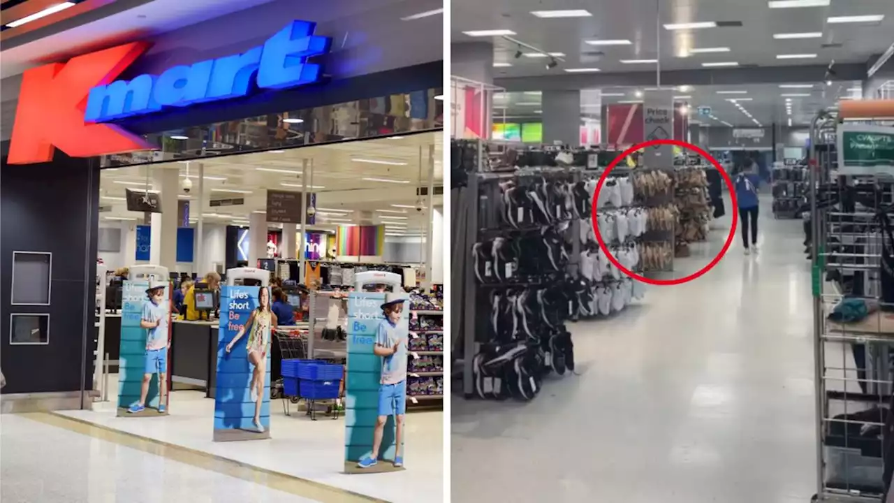 Kmart shoppers go wild over $20 ‘dupe’ of popular $220 product