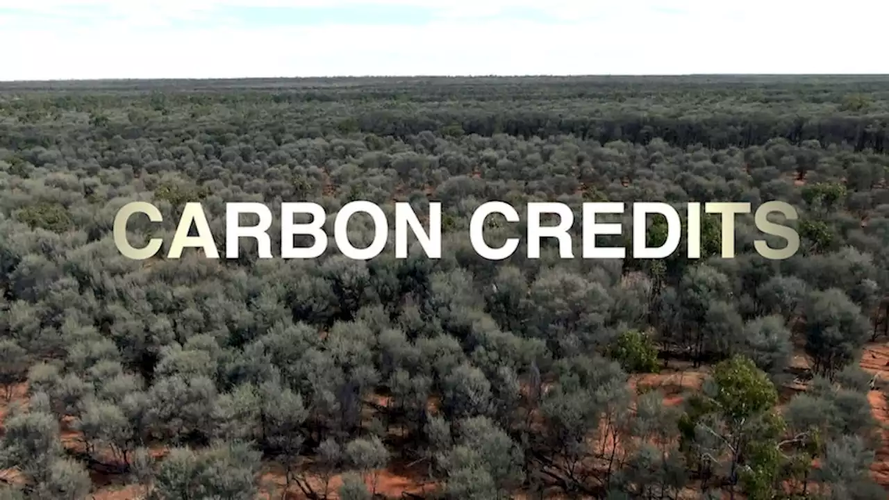 Questions raised about the integrity of multi-billion-dollar carbon credit schemes