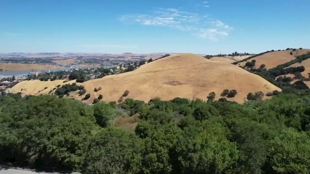 These Bay Area counties will experience jump in extreme heat days in coming decades, data shows