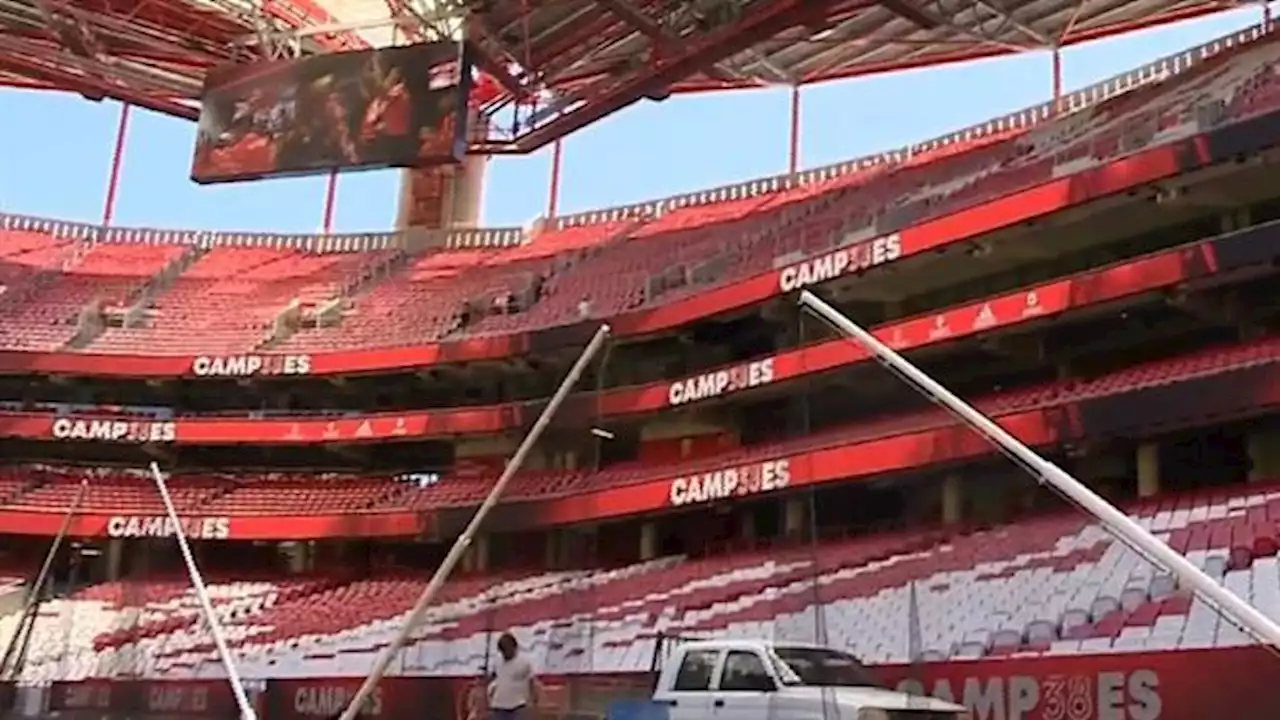 Estádio da Luz terá uma novidade no jogo com o E. Amadora (Benfica)