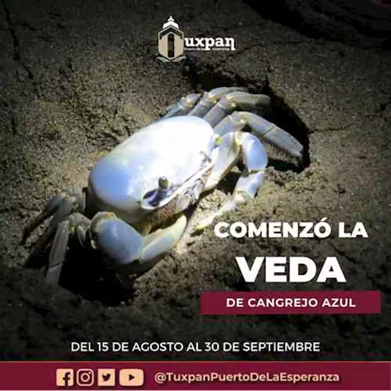 Inicia en Tuxpan la veda de cangrejo azul; concluirá el 30 de septiembre