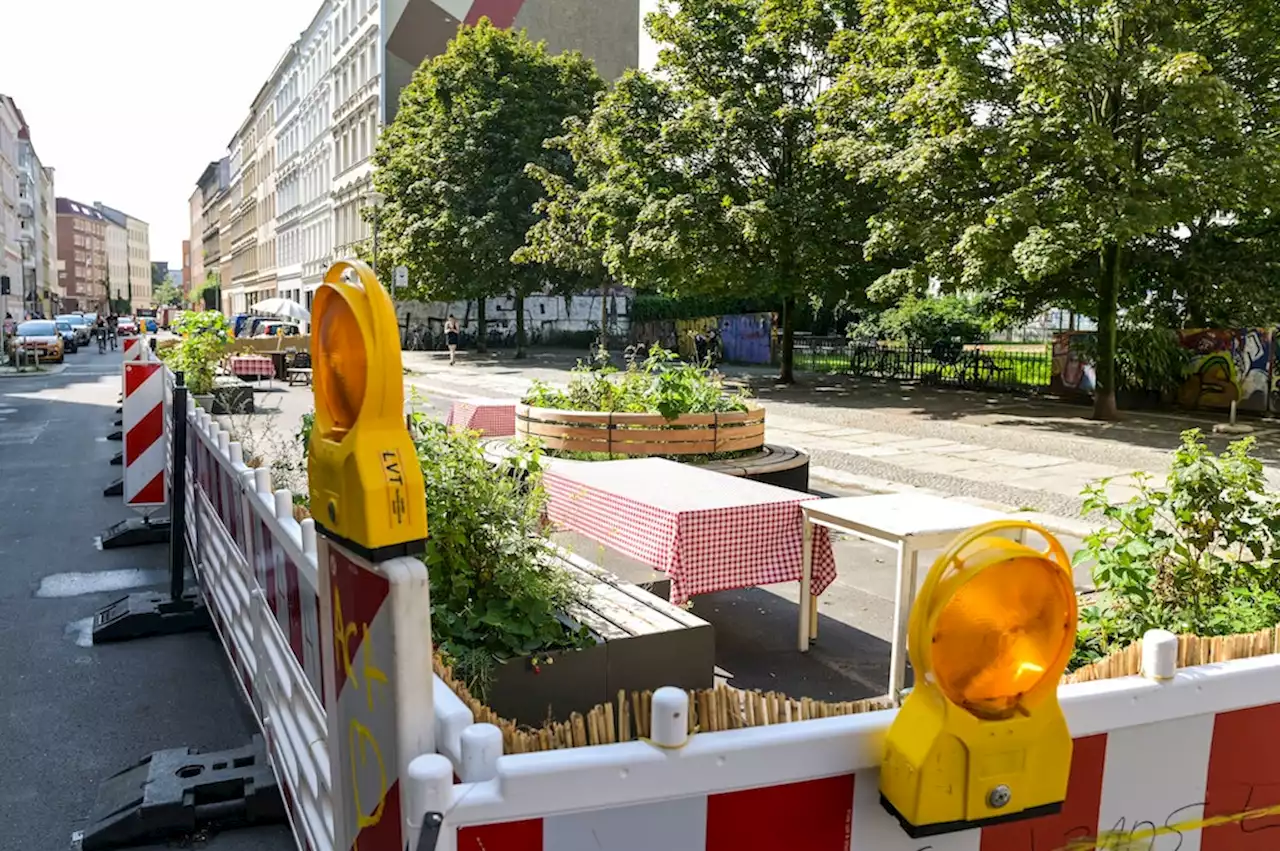 Giftanschlag auf Berliner Straßengrün: Wenn die verkehrsberuhigte Zone zum Kampfplatz wird