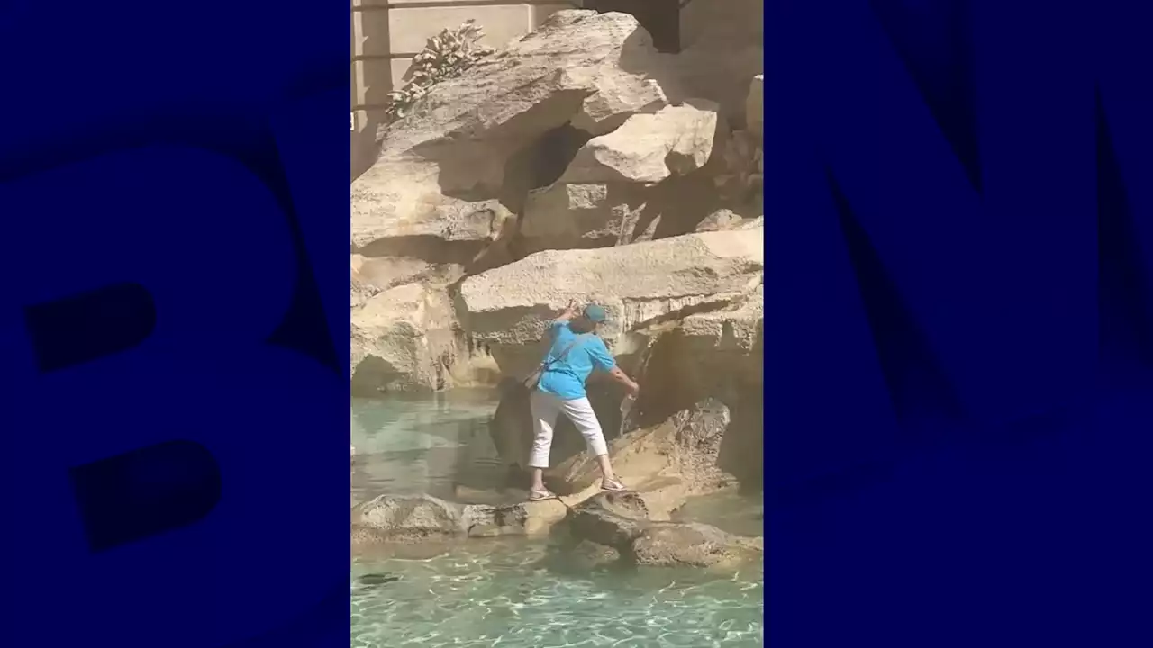 Italie: une touriste filmée alors qu'elle remplit sa bouteille... dans la fontaine de Trevi à Rome