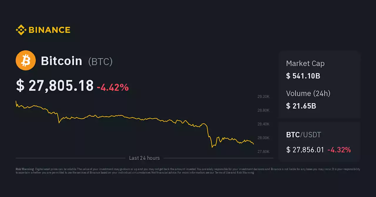 | BTC Price Index, Live Chart and USD Converter