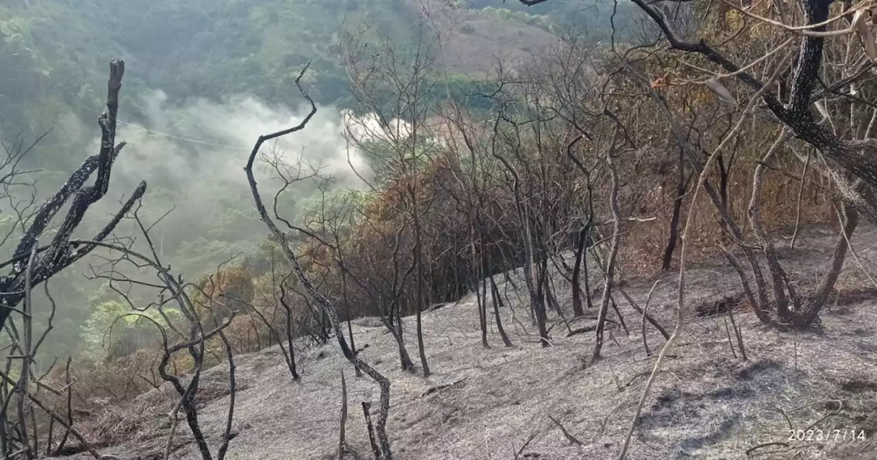 Lanzan alerta por aumento de incendios forestales en 13 municipios de Santander