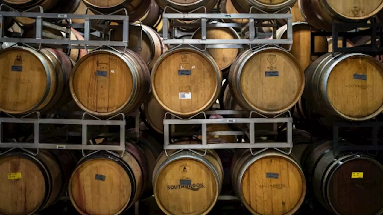 Niagara region's wine sector has billions in untapped potential, report finds