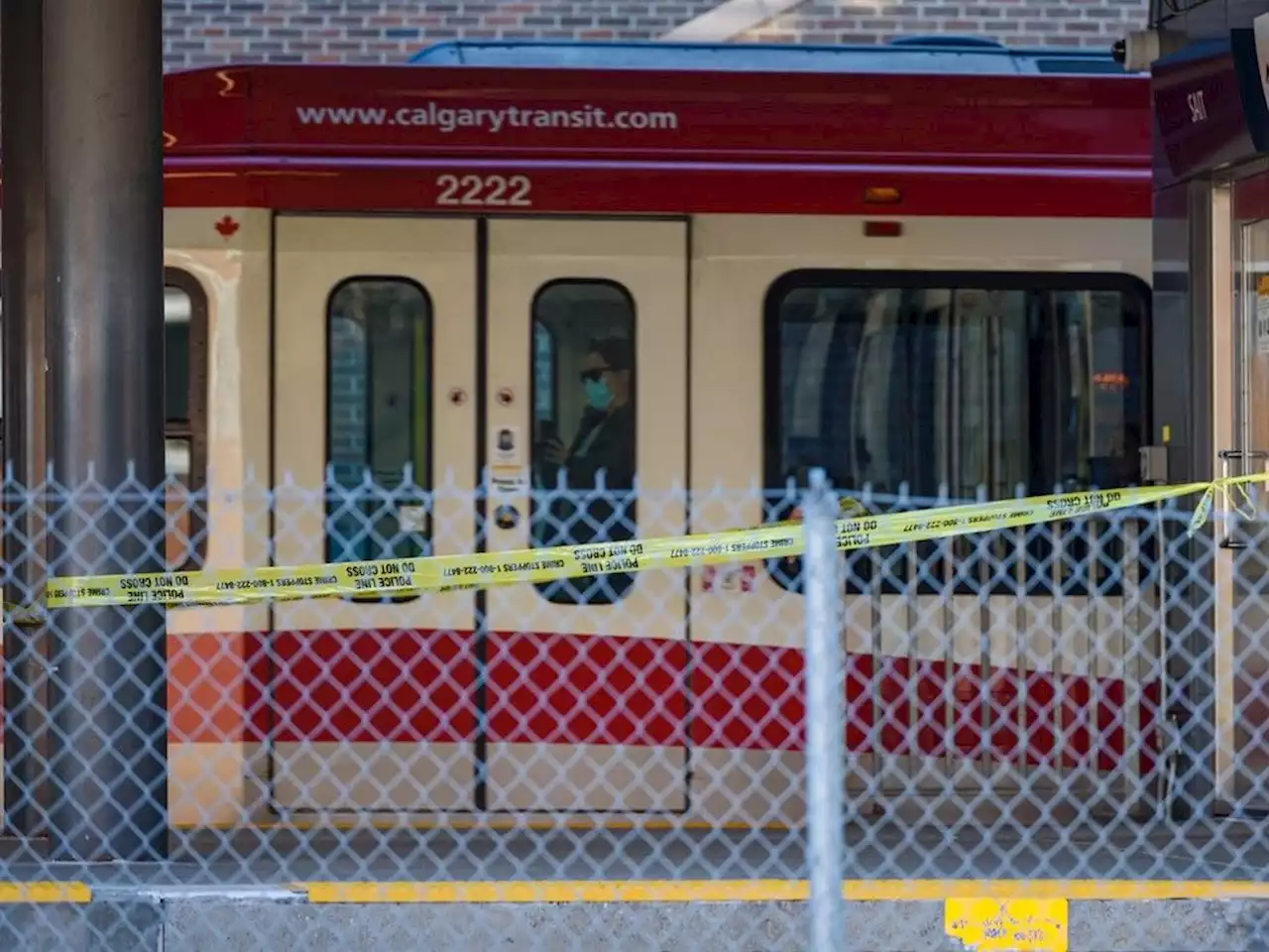 Offenders in CTrain stabbing where victim needed to use help button to face February sentencing