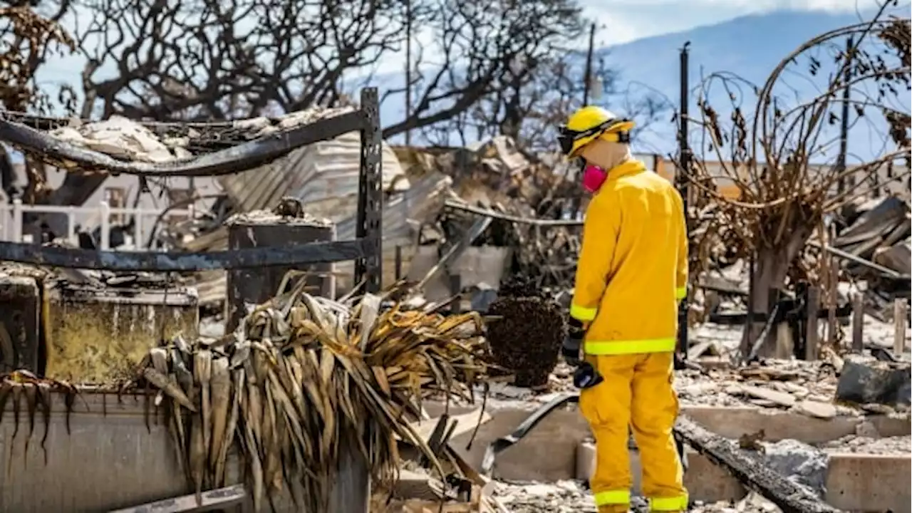 Main highway in Lahaina reopens, revealing stark devastation from Maui's wildfires