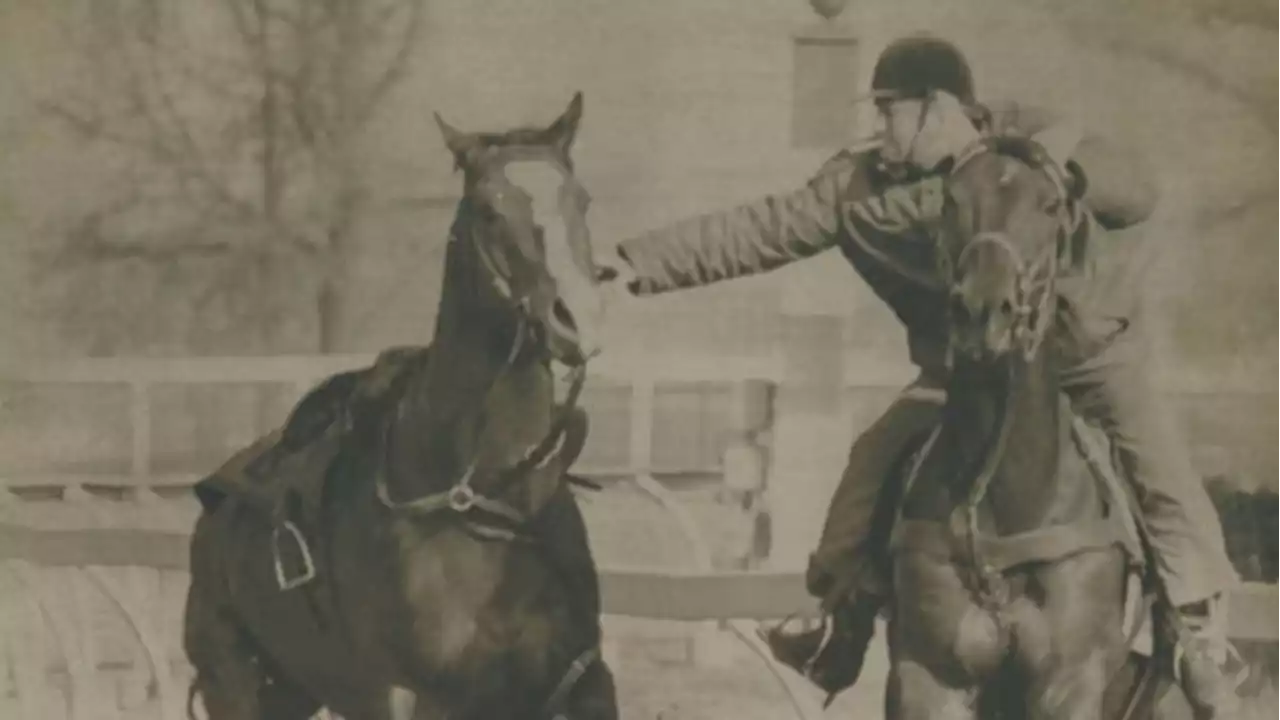 The King's Plate rides again: North America's oldest stakes race returns after 72 years