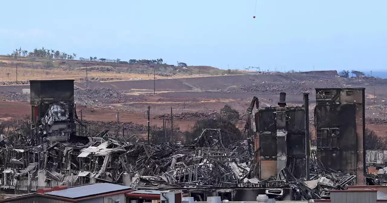 Lahaina residents reckon with destruction, loss as arduous search for victims continues