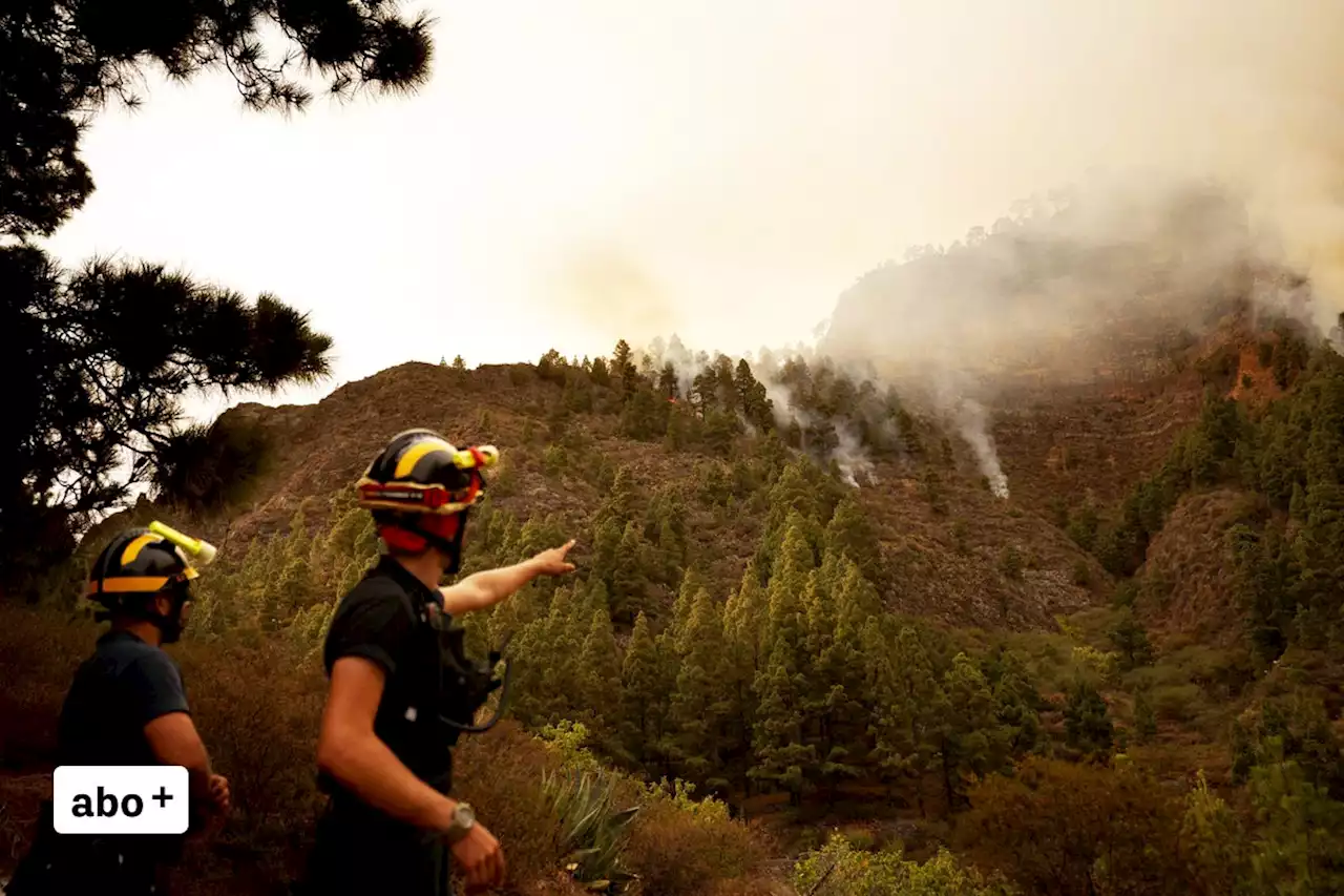 Behörden zeigen sich machtlos gegenüber der Feuerwalze auf Teneriffa