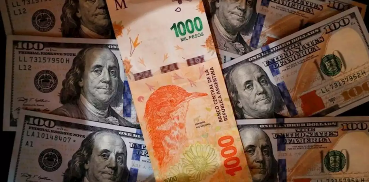 El dólar blue frenó su escalada y retrocedió a $ 760, mientras siguieron subiendo los dólares financieros