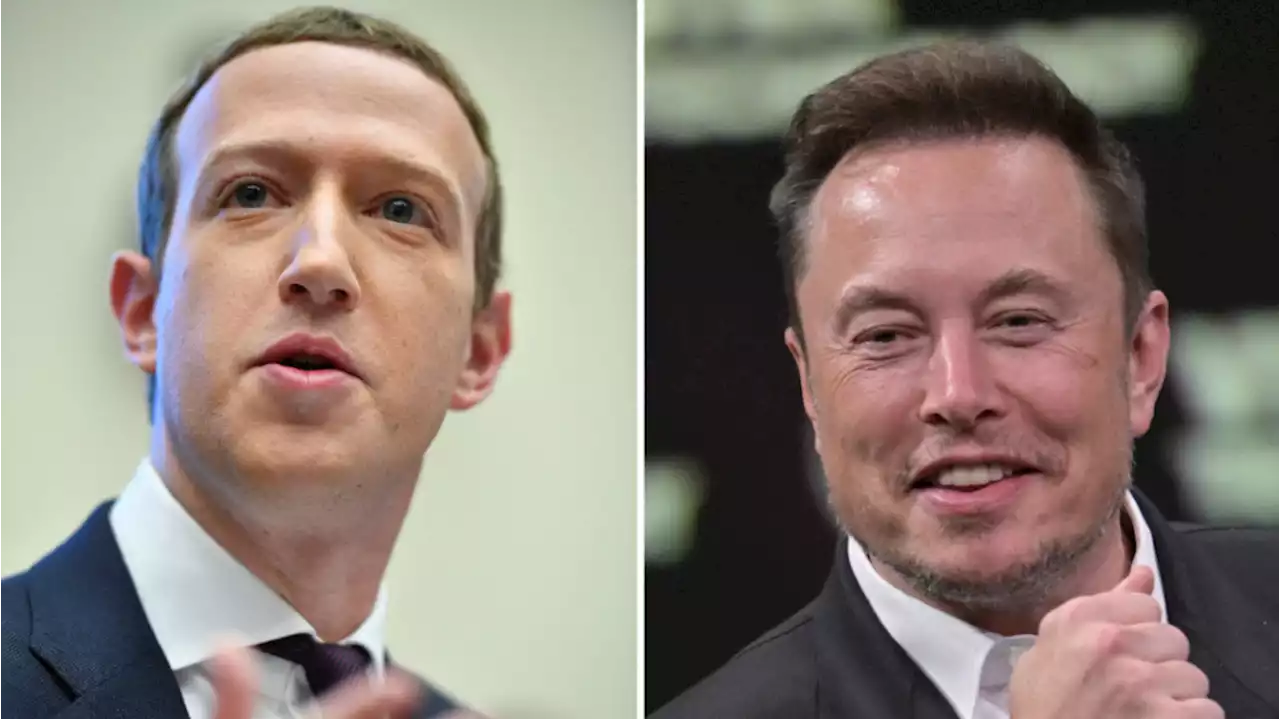 Elon Musk volvió a retar a Mark Zuckerberg: “¿Hay algún lugar donde peleará?”