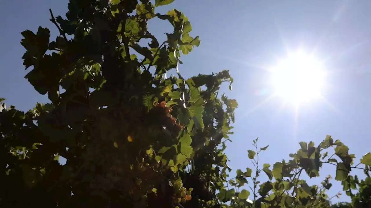 Canicule : voici les 19 départements placés en vigilance orange ce vendredi