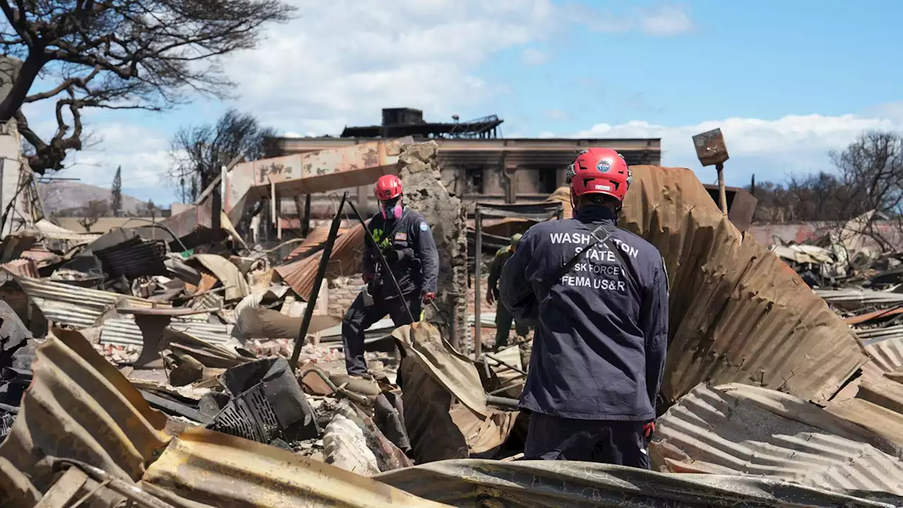 Voraces incendios en Maui dejan al menos 111 personas muertas, según autoridades, mientras los cuestionamientos aumentan