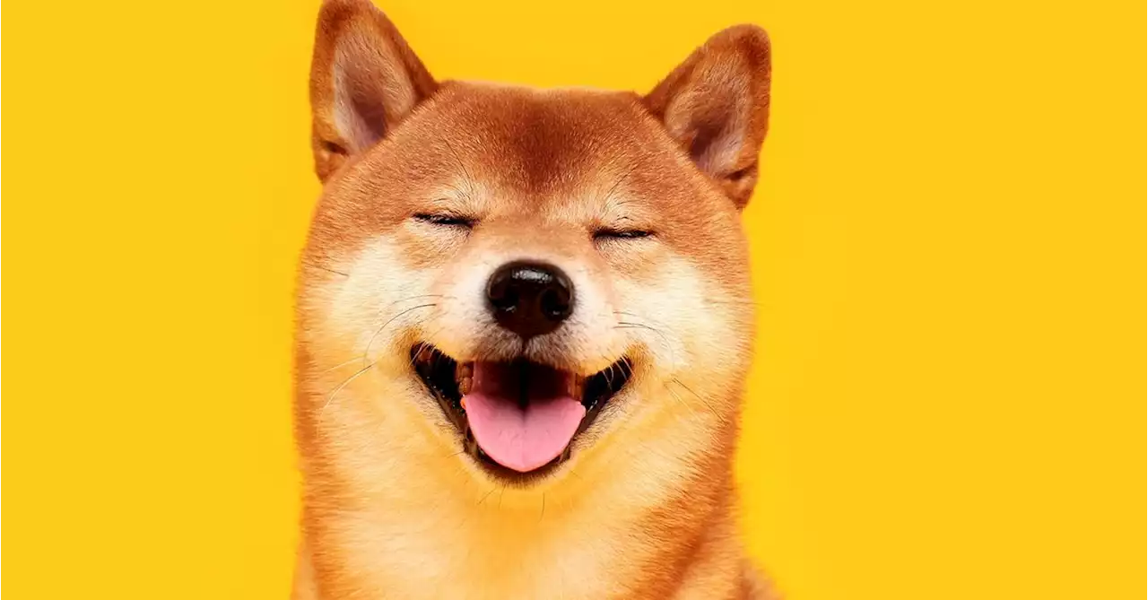 Shiba Inu’s Ethereum Layer-2 Blockchain Shibarium Goes Live Amid Push for DeFi Growth