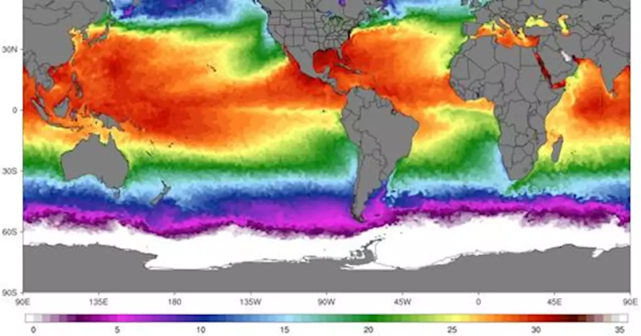 Oceani mai così caldi: toccati i 21 gradi. Gli scienziati: «Mai visto nulla di simile»