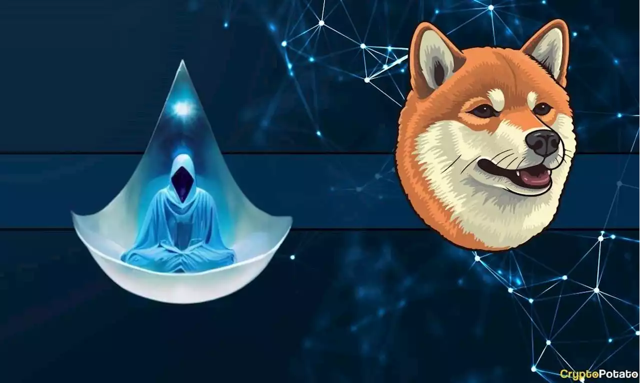 Shiba Inu Lead Dev: All is Well, No Bridge Issue, This Caused the Shibarium Problems