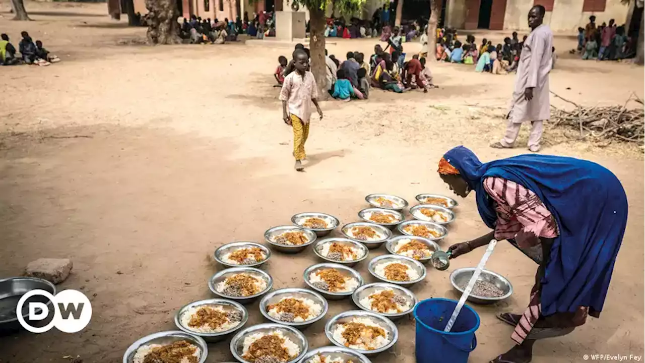 The Tsunami of global Hunger | DW