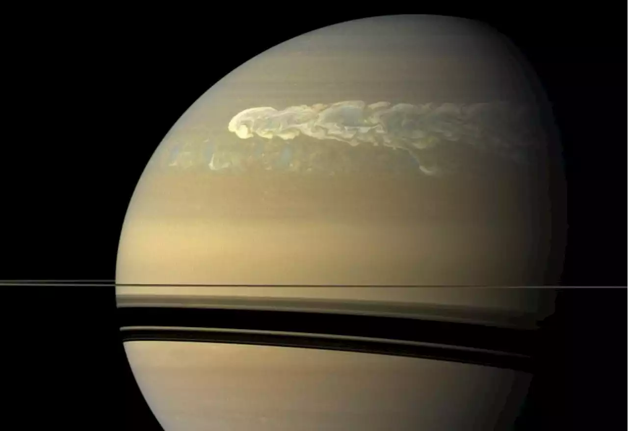 In With a Bang, Out With Ammonia: Saturn's Strange, 100-Year Storms