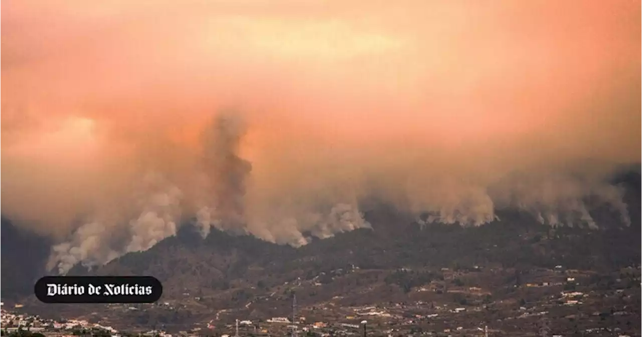 Tenerife combate o ″incêndio mais complexo″ dos últimos 40 anos nas Canárias