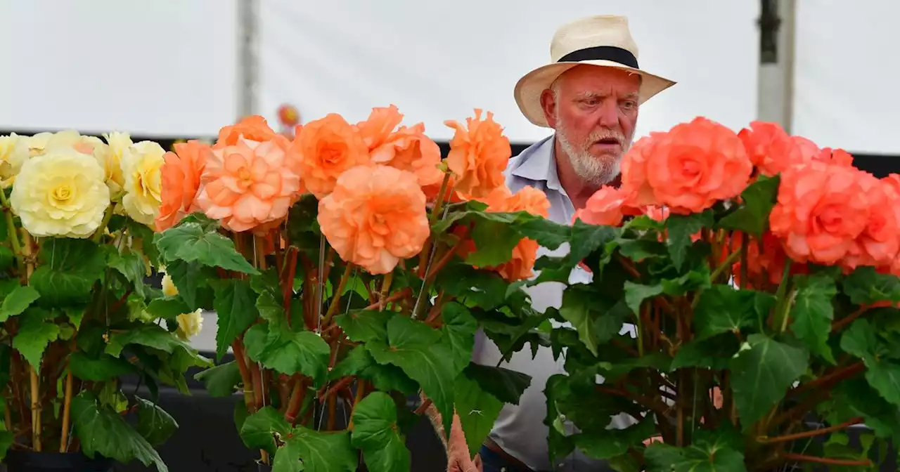 Southport Flower Show food and drink prices on opening day