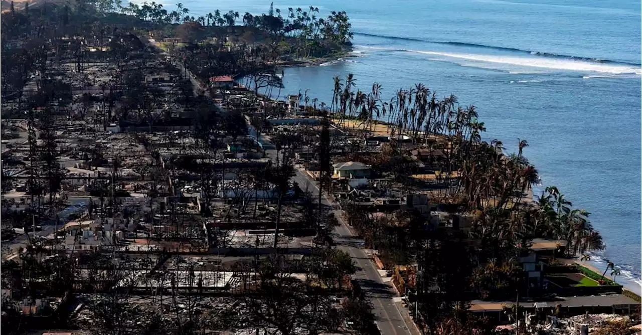 Incendios en Hawái: autoridades reportaron que número de muertos ascendió a 110