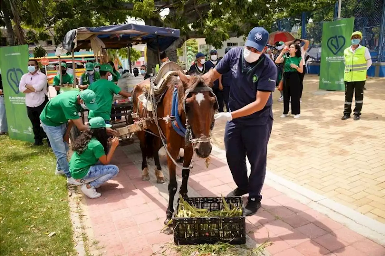 Convocan a evaluación los avances proyecto de vehículos de tracción animal