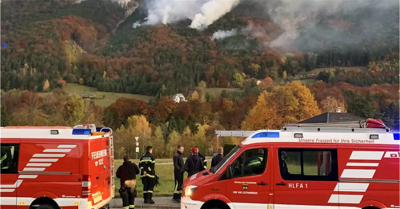 Brennende Wälder, lodernde Debatten